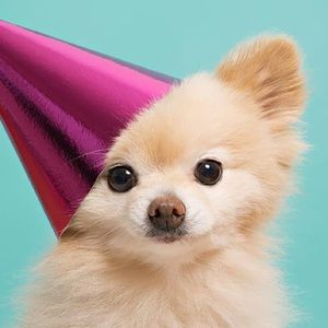 Meet your Posher, Mariam